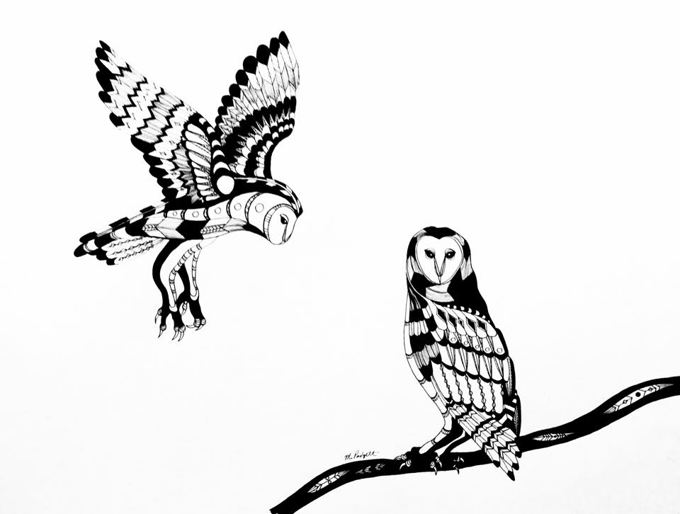960x726 Orignal Drawings Of Birds In Black Pen And Ink, Native American Style