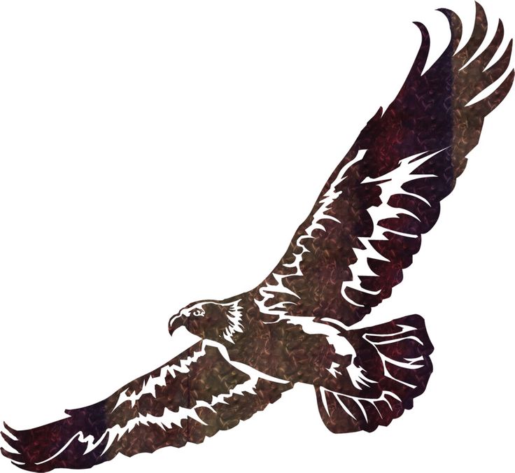 736x676 Golden Eagle Clipart Native American