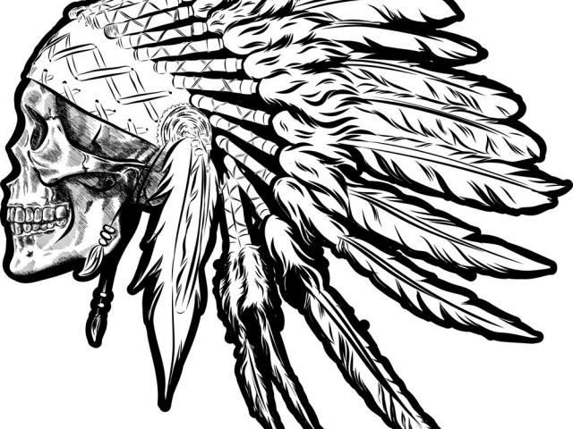 640x480 Free Drawn Feather, Download Free Clip Art