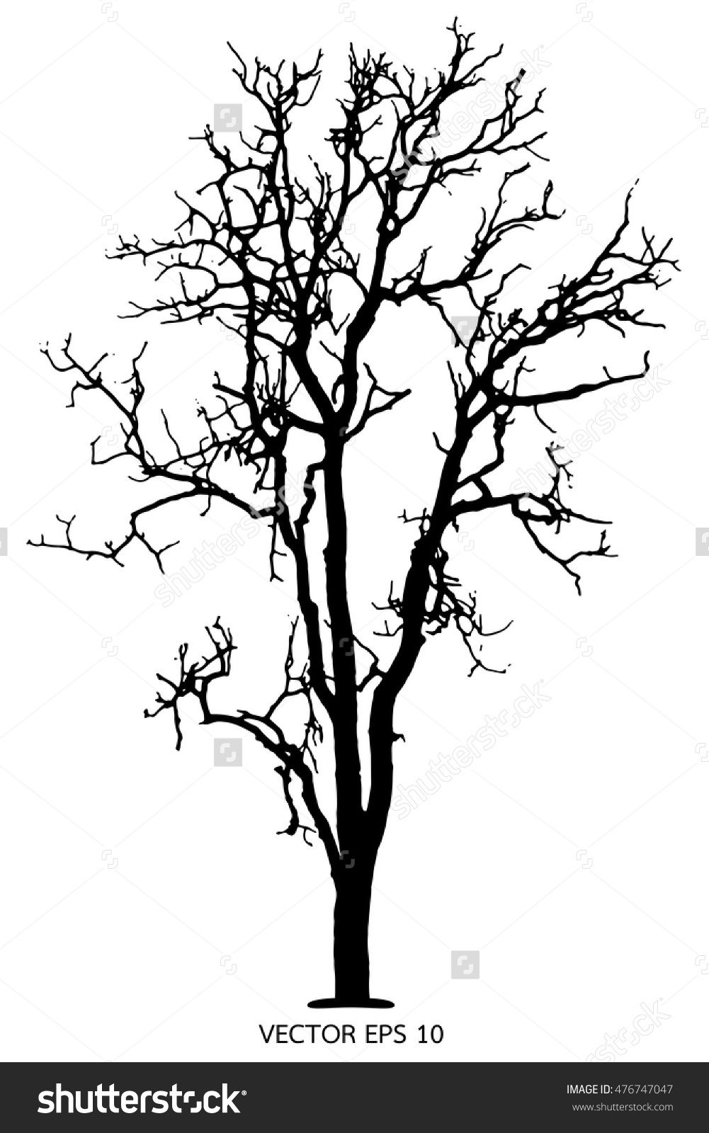 1001x1600 Tree Silhouette, Dry Tree Or Dead Tree On White On Background
