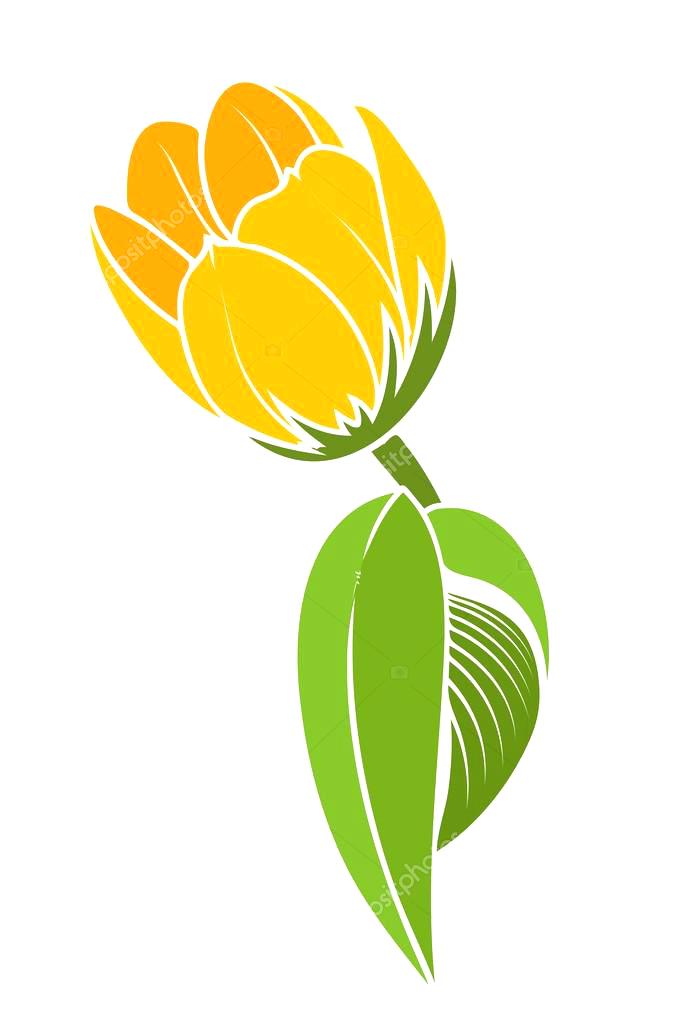 691x1024 Tulip Design Beautiful Decorative Colorful Artistic Festive