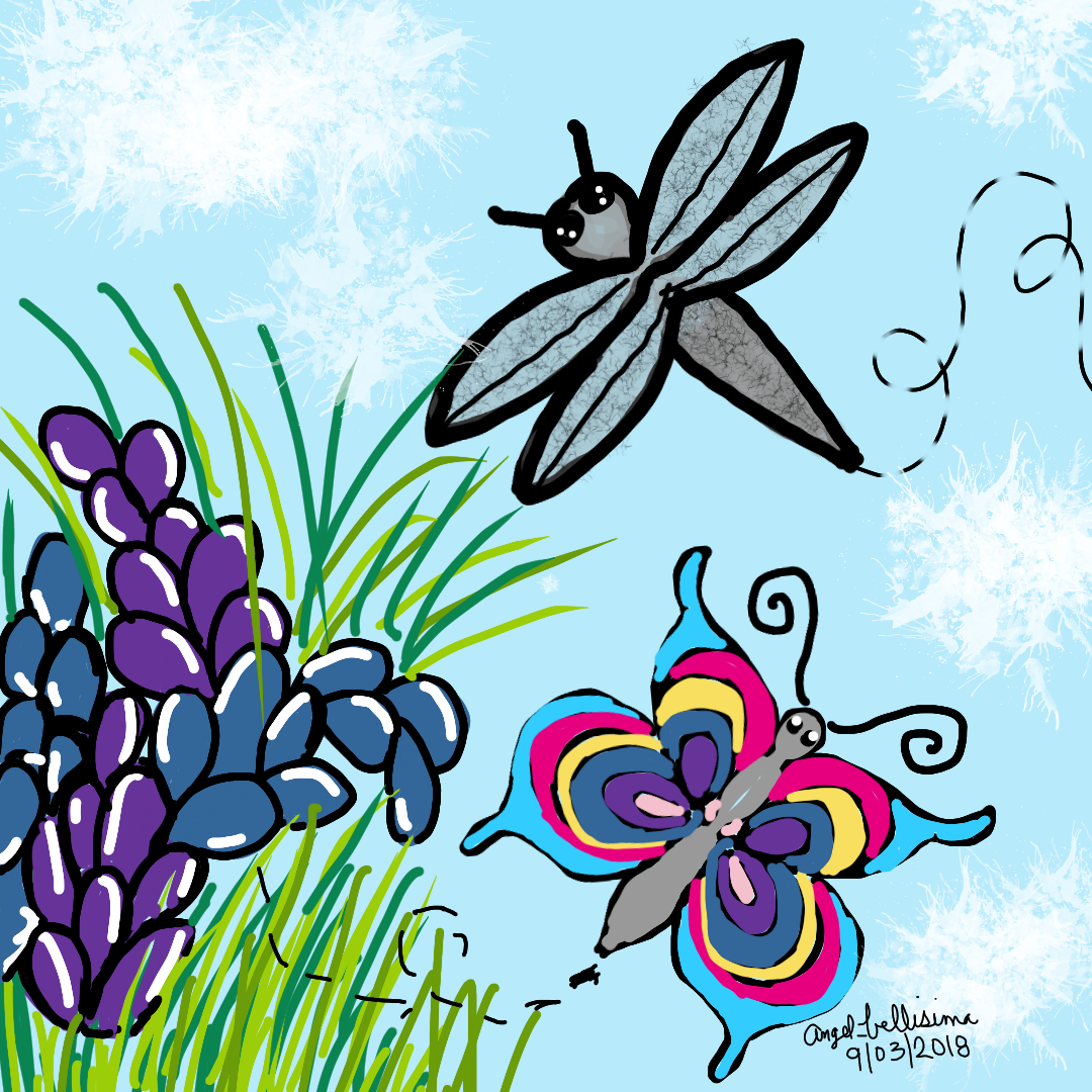 1080x1080 nature flowers butterfly dragonfly nature drawing art