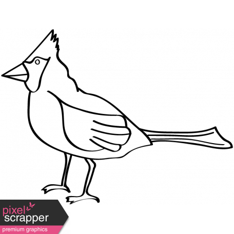 456x456 Collection Of Free Bird Drawing Nature Download On Ui Ex