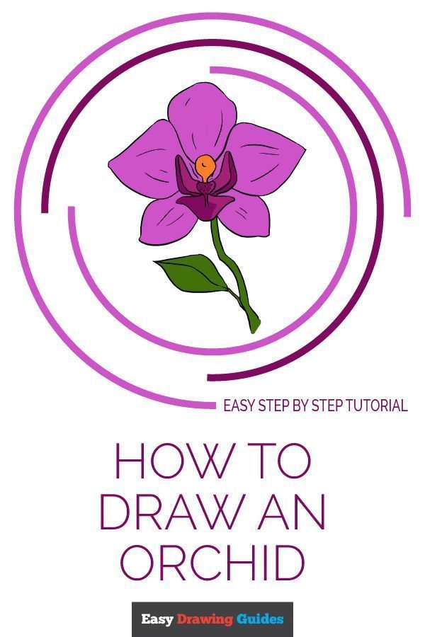 600x900 How To Draw A Beautiful Orchid