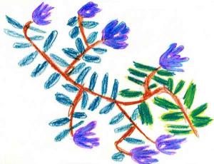 300x230 Nature Drawings