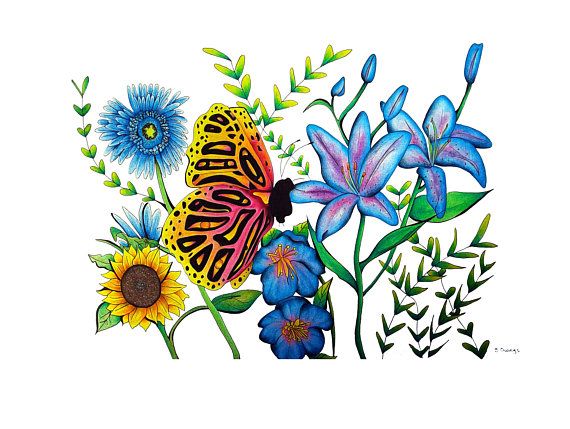 570x429 Butterfly Botanical Print