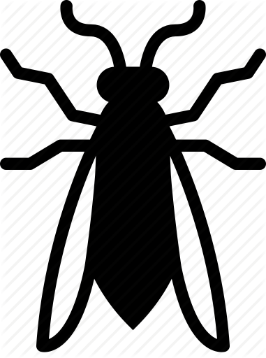 381x512 Drawing Bugs Nature, Picture