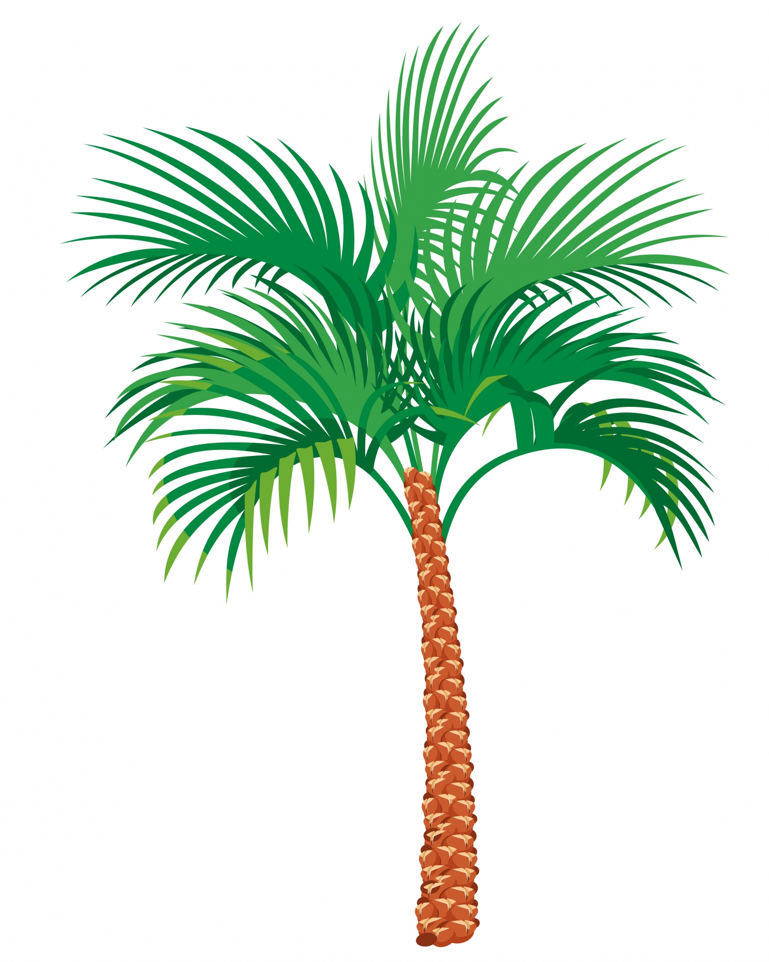 1535x1920 Palm Tree, Palm, Tree, Clipart, Art