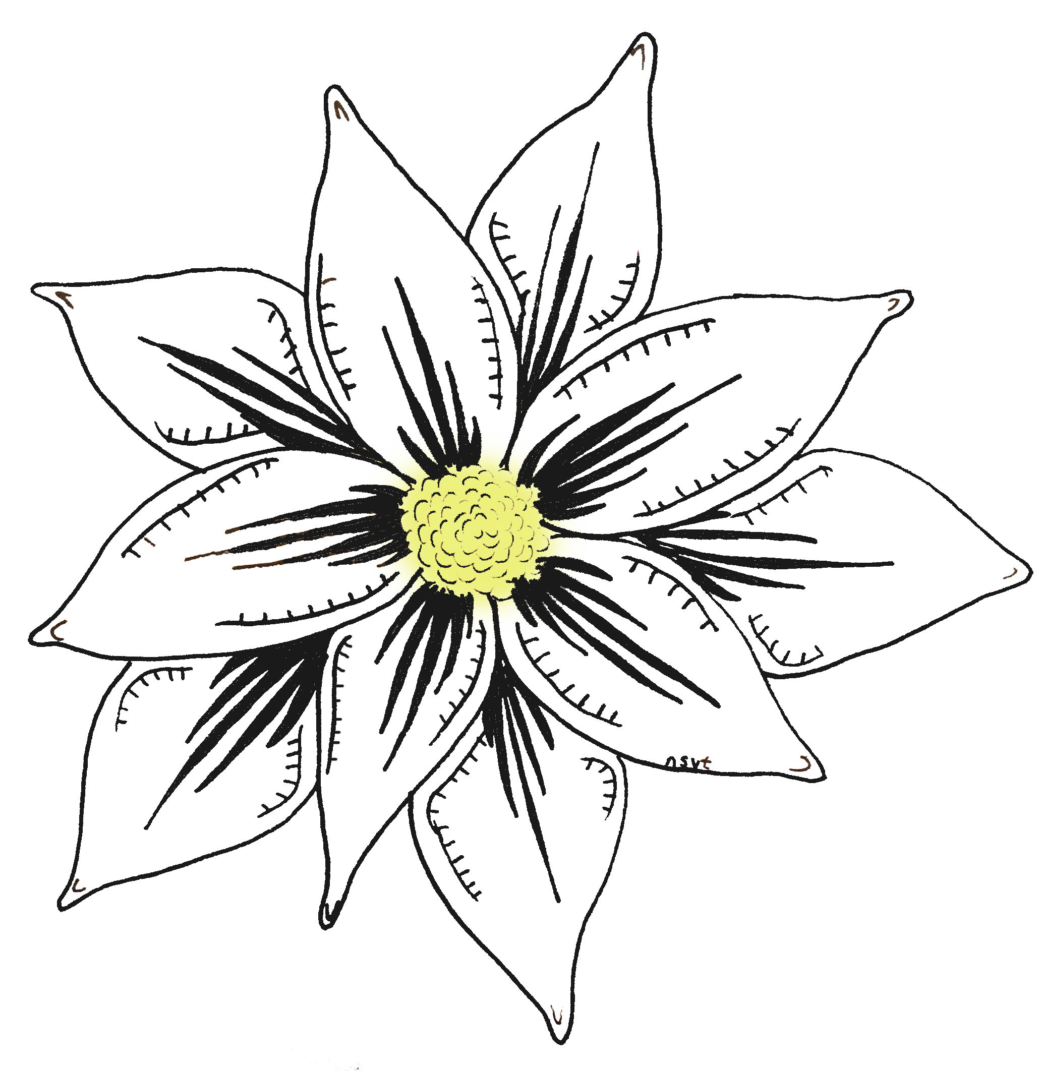 2064x2124 Arts Drawing Nature Transparent Png Clipart Free Download