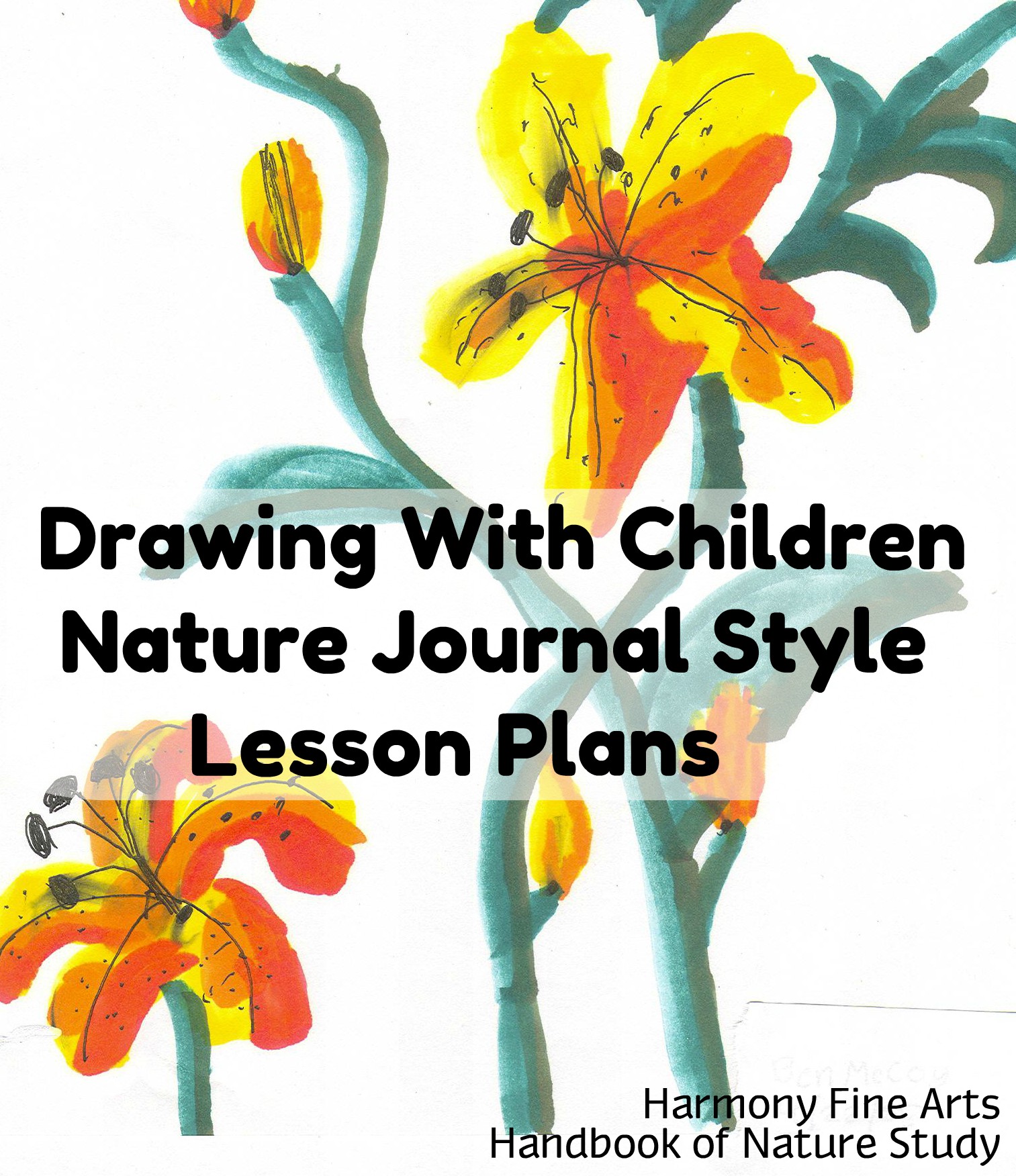 1513x1752 Drawing With Children Nature Journal Style Lesson