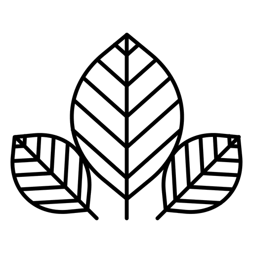 512x512 Collection Of Free Nature Drawing Line Download On Ui Ex