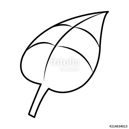 500x500 Line Nice Nature Leaf Exotic Style Stock Image And Royalty Free