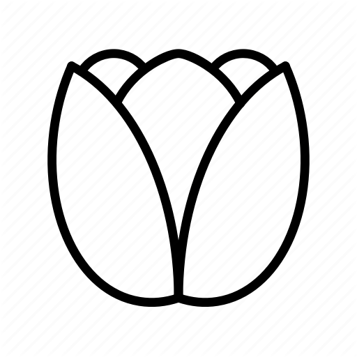 512x512 Drawing Spring Nature Transparent Png Clipart Free Download