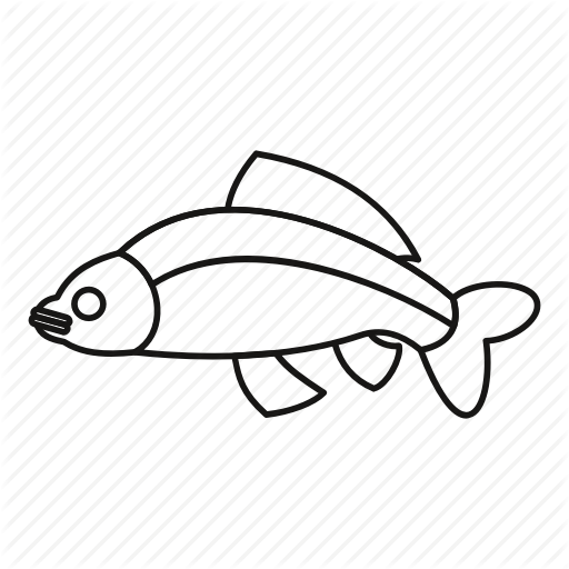 512x512 Fish Outline
