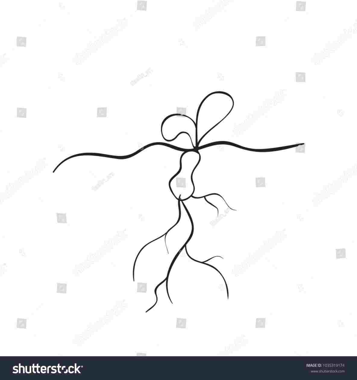 1185x1264 Nature Outline Line Drawing