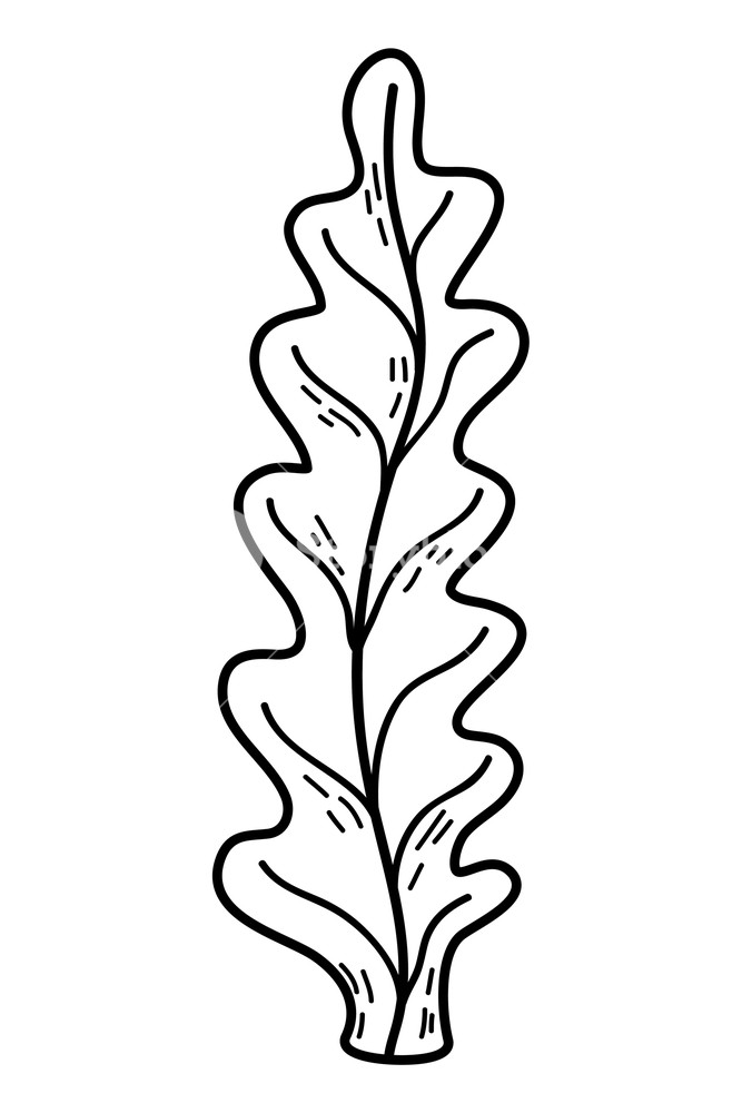 667x1000 Outline Marine Seaweed Nature Plant Style Vector Illustration