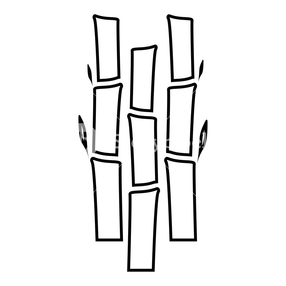 1000x1000 Bamboo With Leafs Nature Plant Icon Black Color Outline Vector