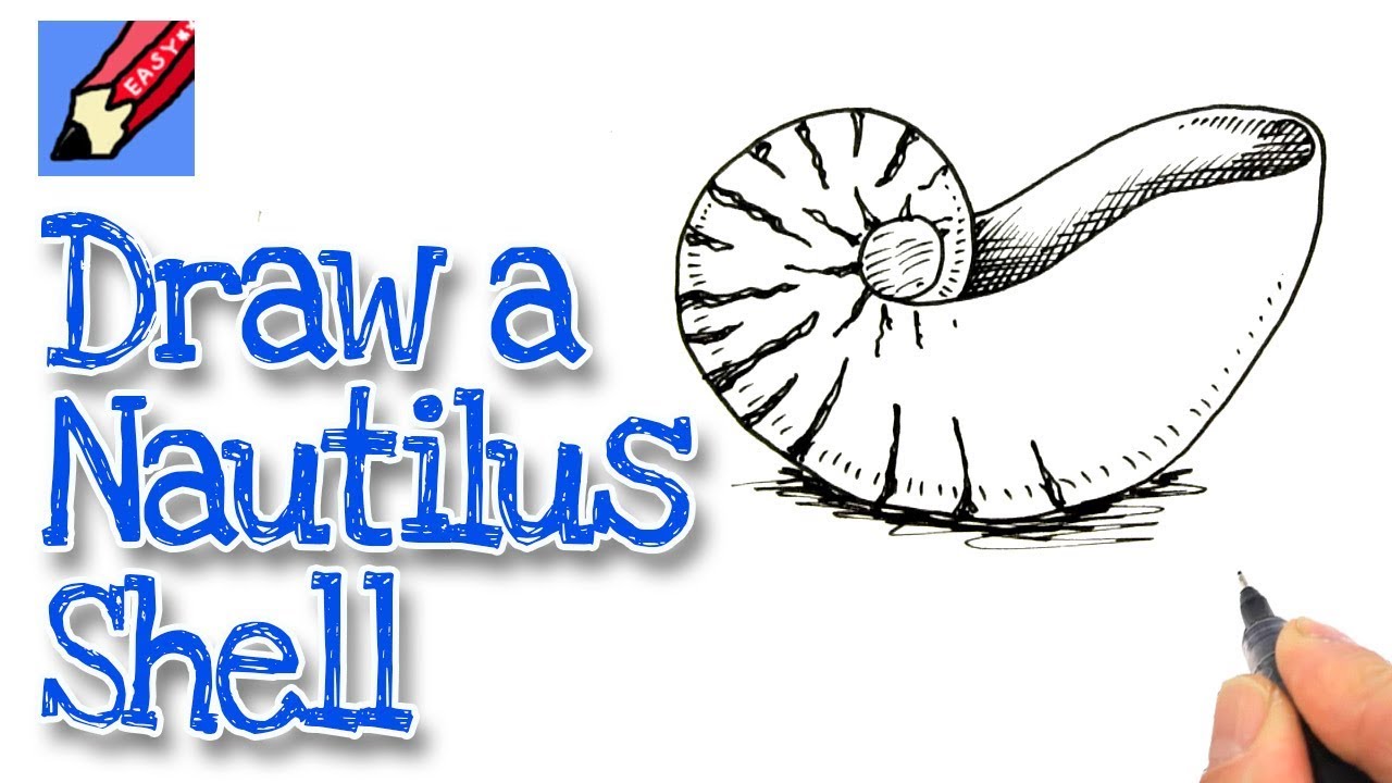 1280x720 How To Draw A Nautilus Shell Real Easy