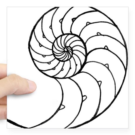 460x460 Nautilus Square Stickers