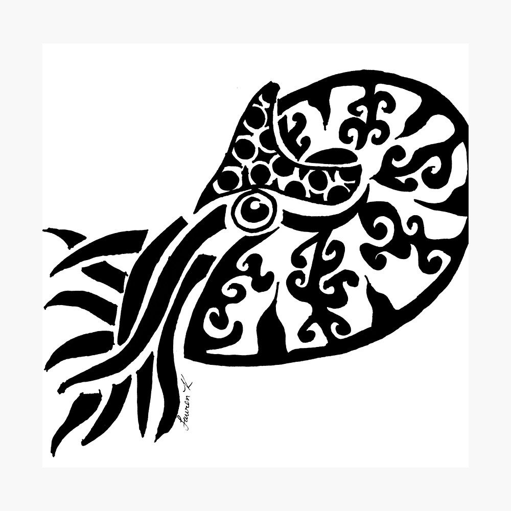 1000x1000 Nautilus Tribal Design Photographic Print