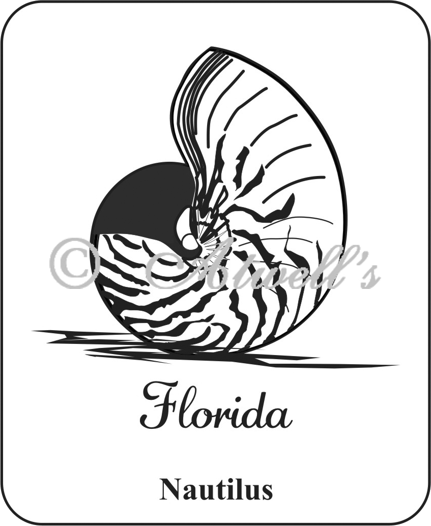 847x1034 Sd Nautilus