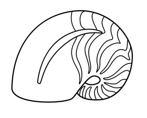 300x240 Search Photos Nautilus