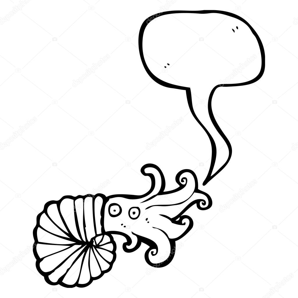 1024x1024 Nautilus Drawing Squid For Free Download