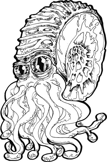 362x550 Nautilus Night Posters