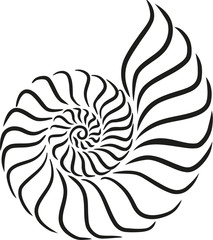 Nautilus Line Drawing | Free download on ClipArtMag