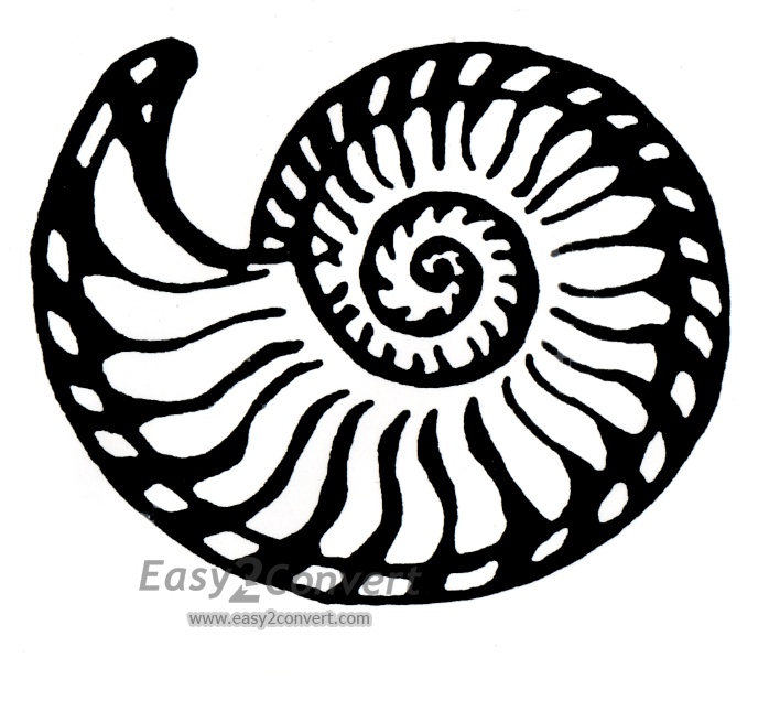 708x636 Stamp Lg Nautilus Shell