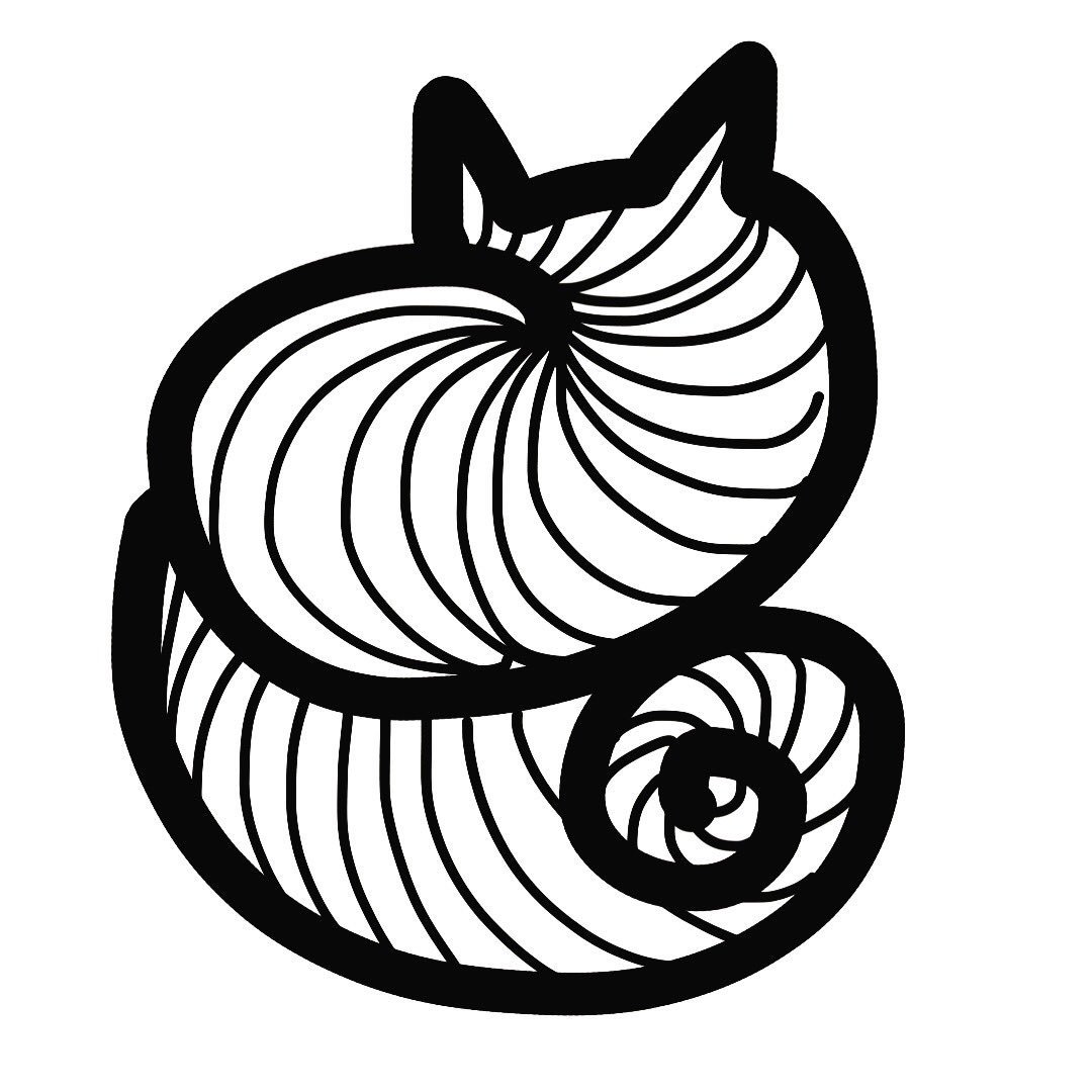 1080x1080 On Twitter My Little Nautilus