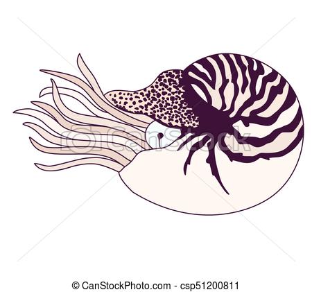 450x421 Collection Of Free Chambering Clipart Nautilus Shell Download