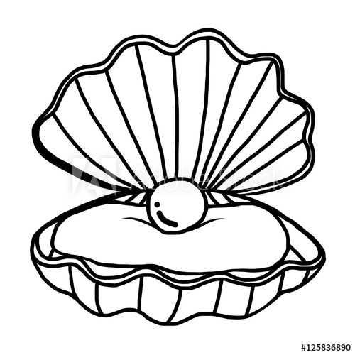 500x500 Huge Collection Of 'pearl Shell Drawing' Download More Than