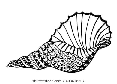 Nautilus Shell Drawing | Free download on ClipArtMag