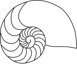 260x220 Seashell, Circle, Transparent Png Image Clipart Free Download