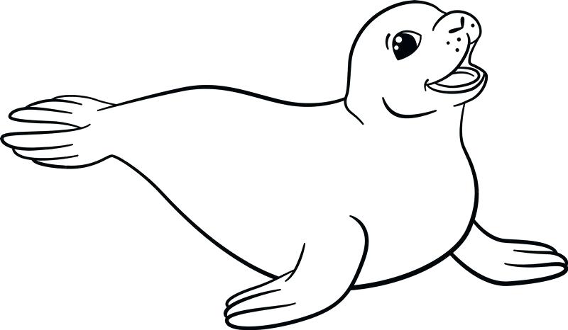 800x466 Drawings Of Seals Cute Cartoon Baby Seal Coloring Pages How