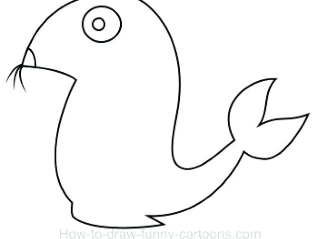 640x480 Easy Seal Drawing How To Draw A My Ho Easy Seal Drawing Step