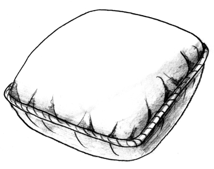 425x336 Pillows For Me!