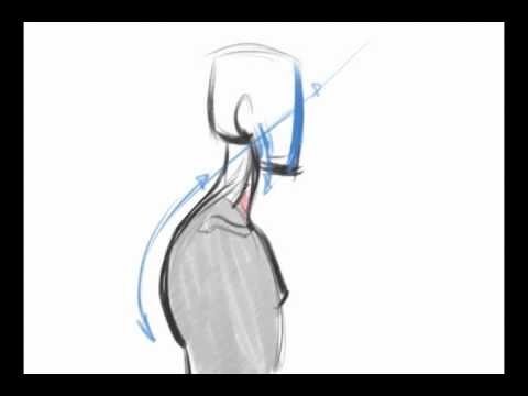 480x360 How To Draw The Back To Neck Curve