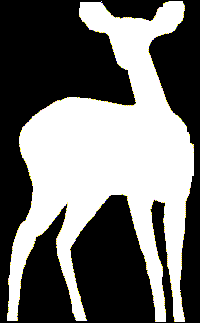 200x323 Negative Space Exercise