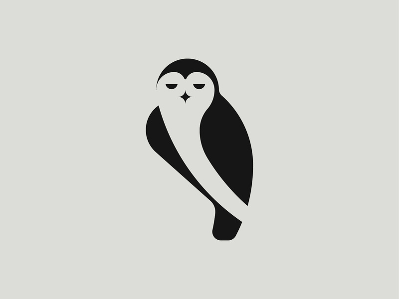 800x600 Owl Logo