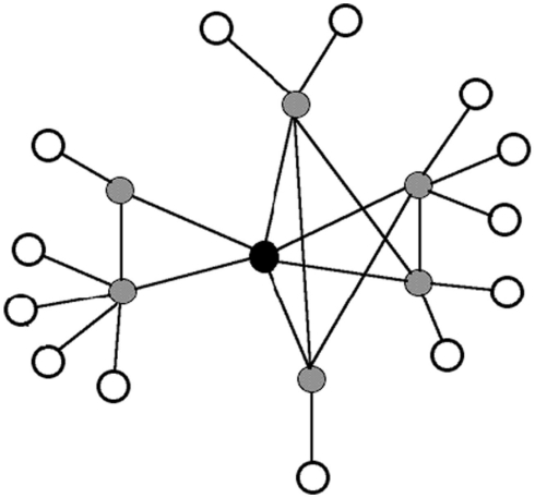 490x457 an illustration of a one hop and two hop neighborhood the target