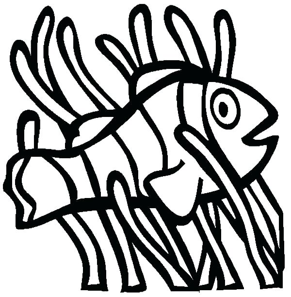 600x612 drawing of nemo made recently nemo fish drawing easy