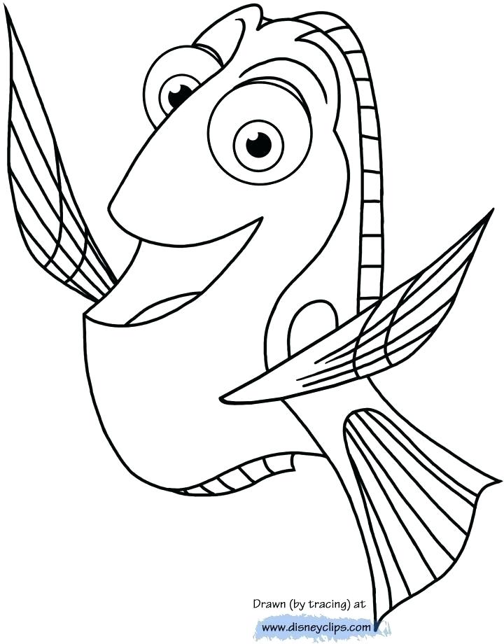 720x920 nemo coloring nemo squirt coloring pages