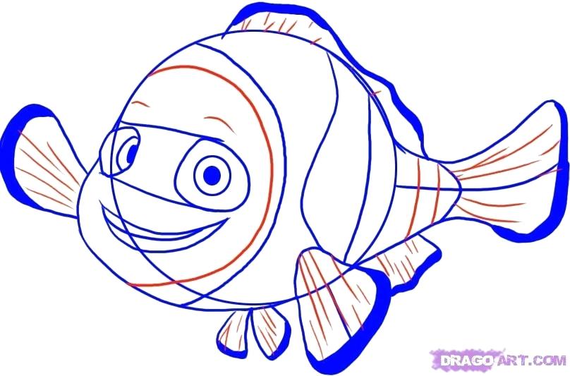 808x533 Drawings Of Nemo More Drawings Squirt From Nemo Drawings