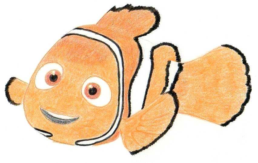 852x539 How To Draw Nemo Characters Step