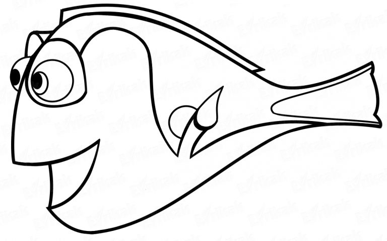 768x478 How To Draw Dory The Fish From The Cartoon Finding Nemo