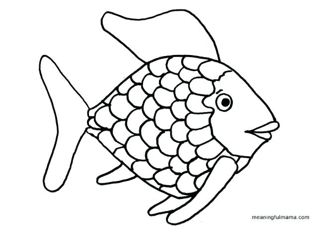 640x458 Fish Aquarium Coloring Pages Empty Tank