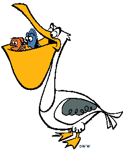 247x304 Collection Of Free Seagull Drawing Finding Nemo Download On Ui Ex