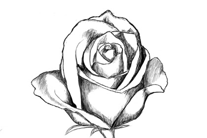 420x280 All The Sayings In The Category Rose Tattoo Outline Drawing